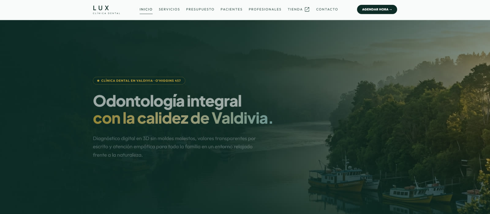 Portada del sitio de Lumina Dent, ortodoncia en Valdivia
